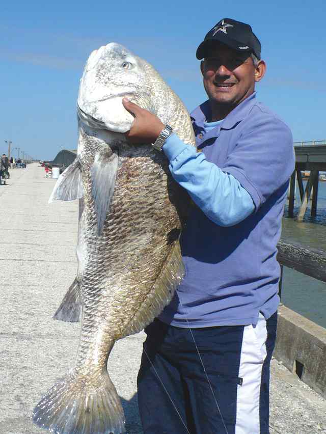Roger Gonzales Copano Bay44&quot; black drum