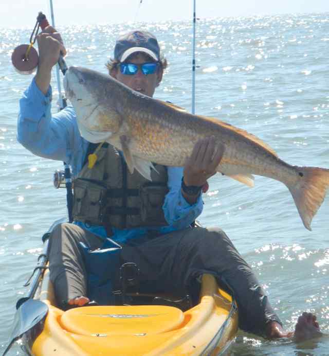 Bryan Heiman High Islandbull red