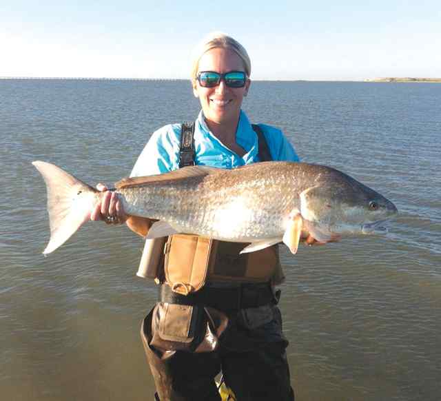 Kendall Hoefling Point Comfortfirst bull red!