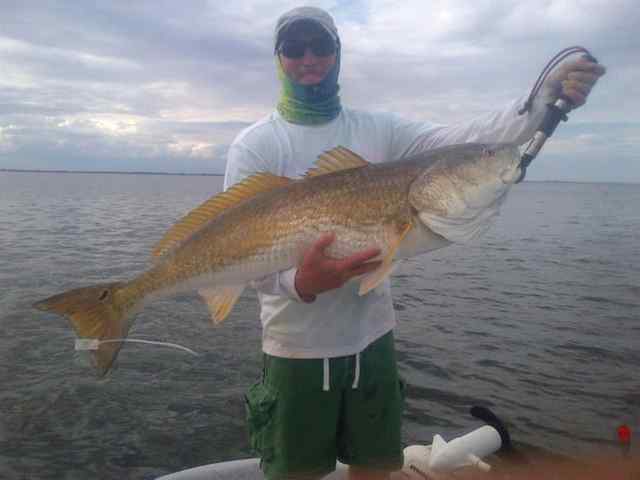 Chris Reed Corpus Christi43&quot; redfish