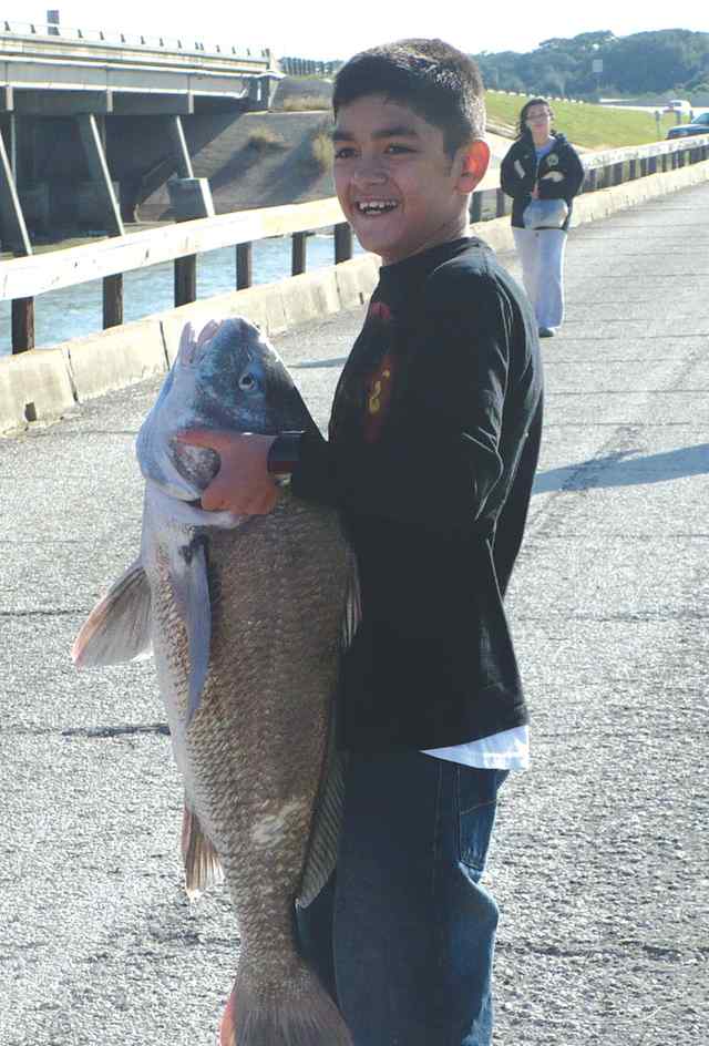 Logan Salazar Copano Bay34&quot; first black drum!