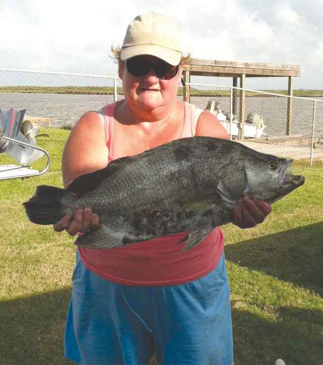 Lindy Bingham ICW at Sargent7 lb tripletail