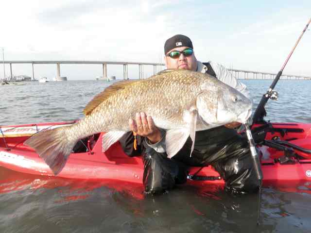 Daniel Sanchez, Jr. Laguna Madre42&quot; black drum CPR