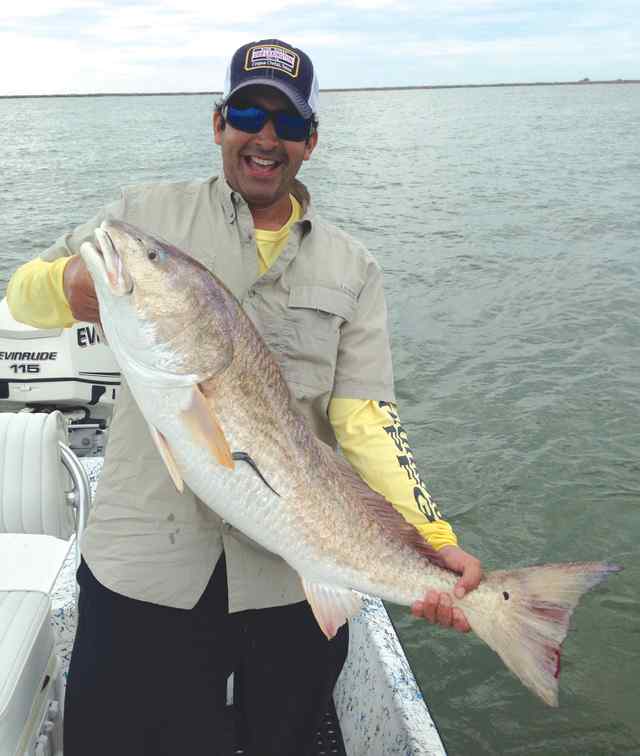Gary Villarreal 40&quot; bull red