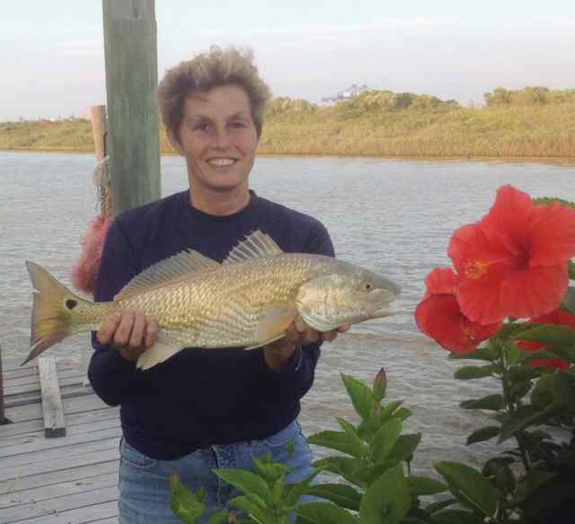 Linda Cook Quintanaredfish