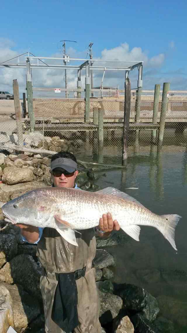 Mario Gamez Baytown Spillway, near Mcollum Park in Trinity Bay

redfish