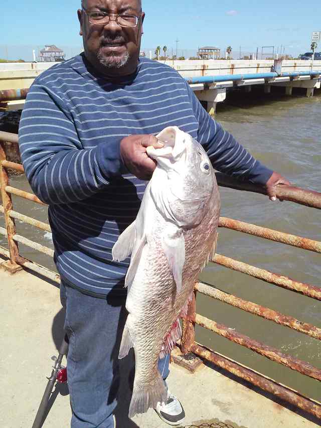 Felton Johnson Rollover Pass35&quot; drum