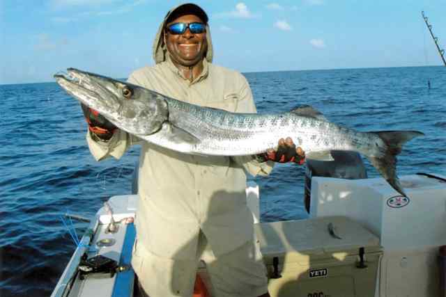 Dexter Polk Moxy Rigbarracuda, trolling ballyhoo - released