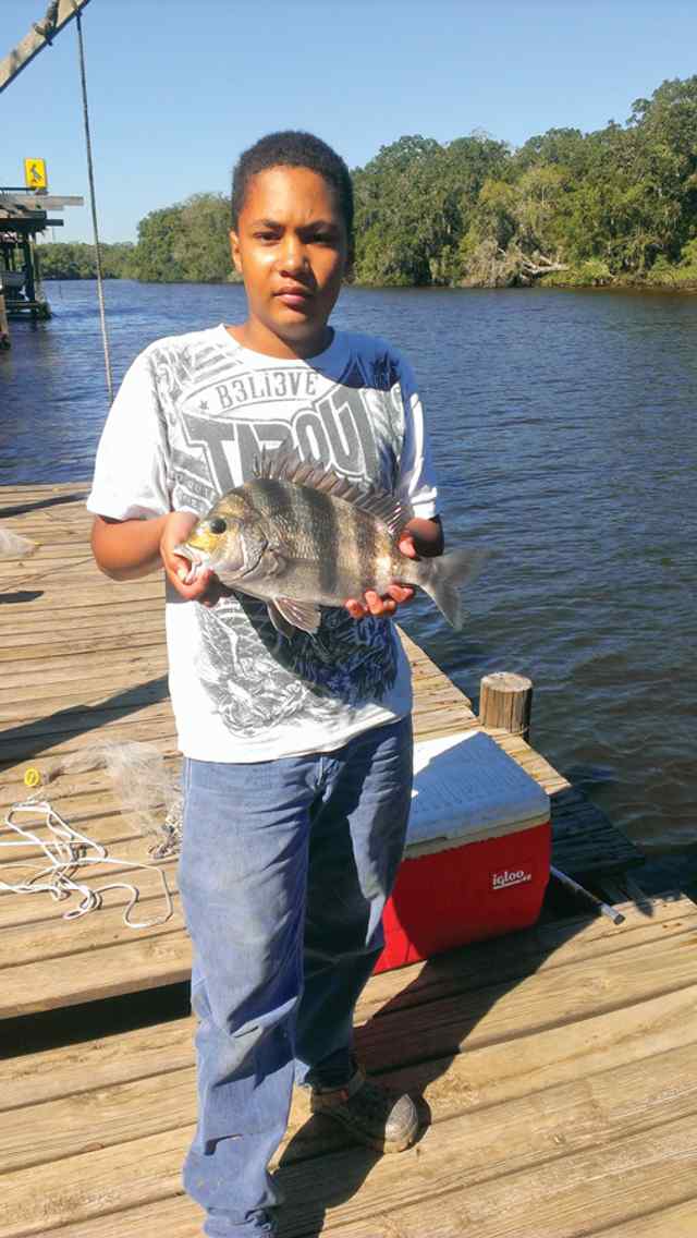 Devin Williams 18&quot; sheepshead