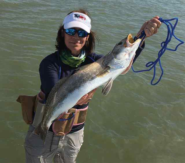Catherine Modlin Copano Bay27&quot; trout, caught on chartreuse paddle-tail plastic with a 1/8 oz jig head