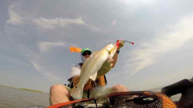 Miles Walthall Lake Calcasieu
6.5lb trout