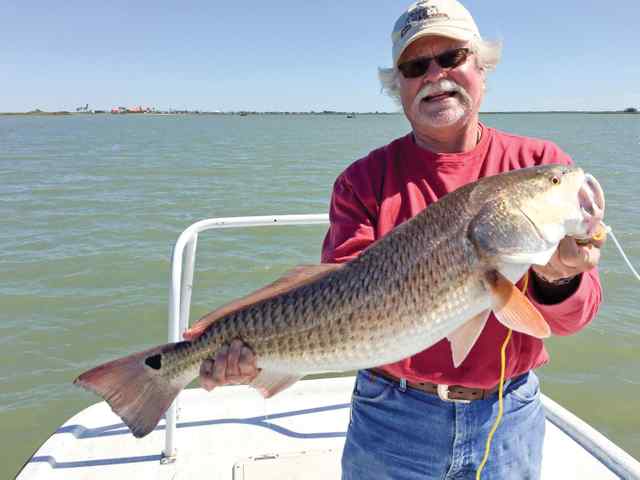 Harry Craig Copano Bay - 31" redfish