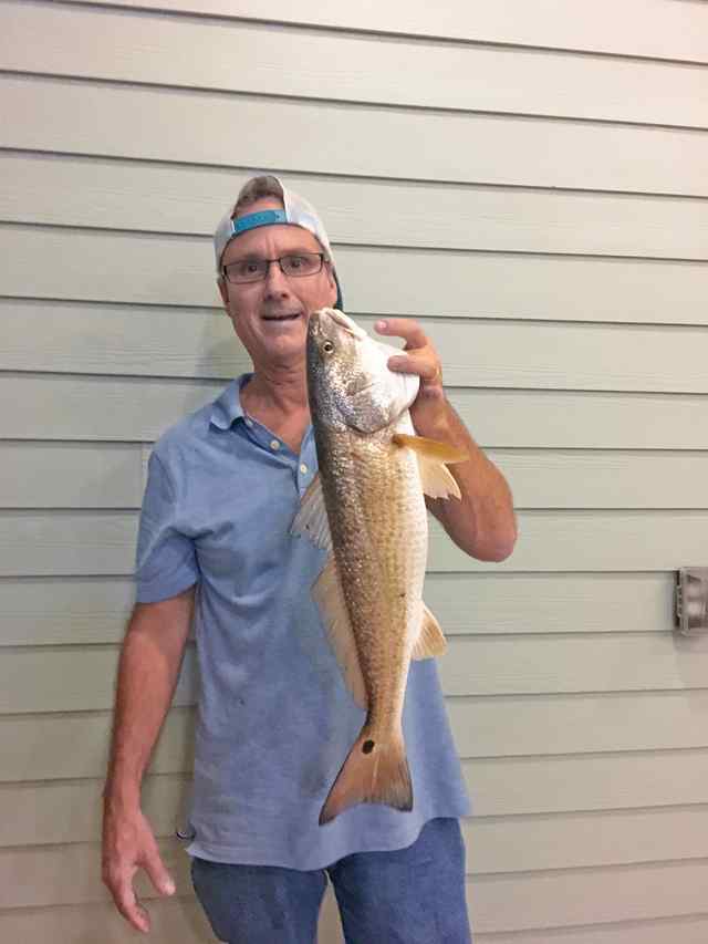 Robert Hooker West Galveston Bay - redfish, caught on live shrimp