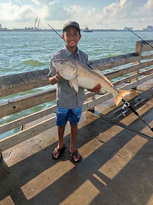 Aden Johnson Seawolf Park - bull red