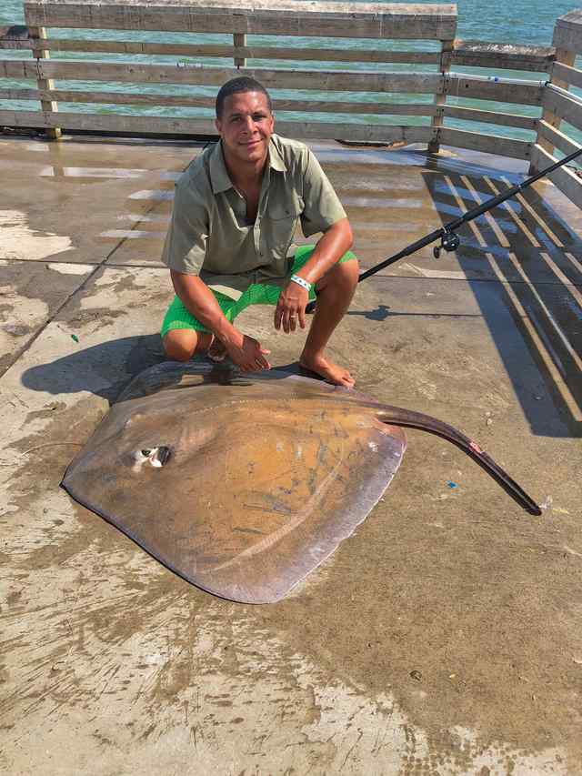 Pierre Johnson Seawolf Park - stingray