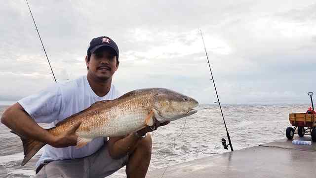 Mike Magahis Surfside jetty, Freeport - 16 lb first redfish!