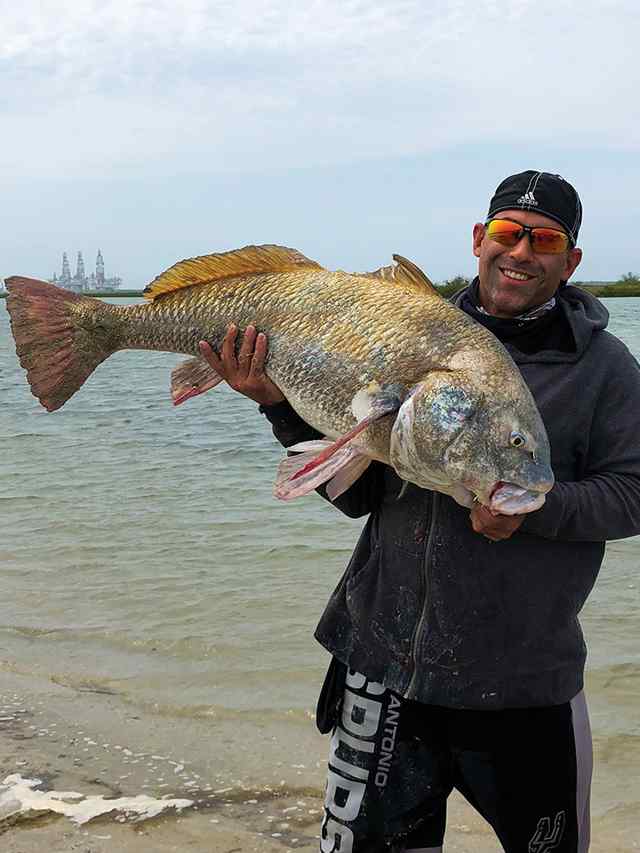Freddy Sanchez Aransas Pass - 47" drum, caught on half crab