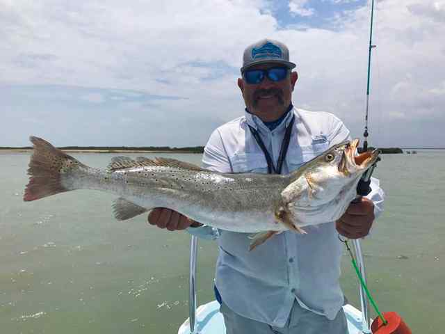 Mike Trejo Arroyo City - trout