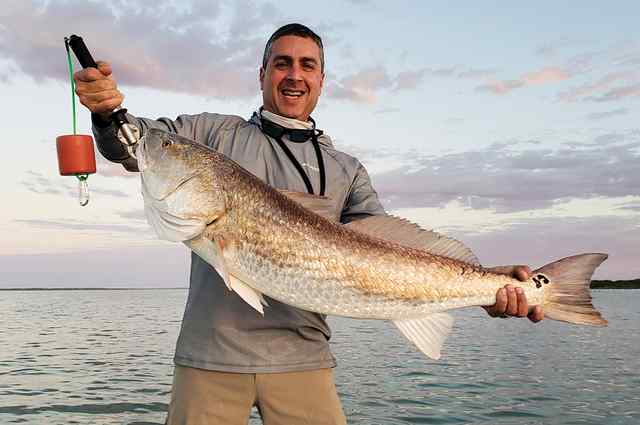 Brien Barrera Baffin Bay - bull red CPR
