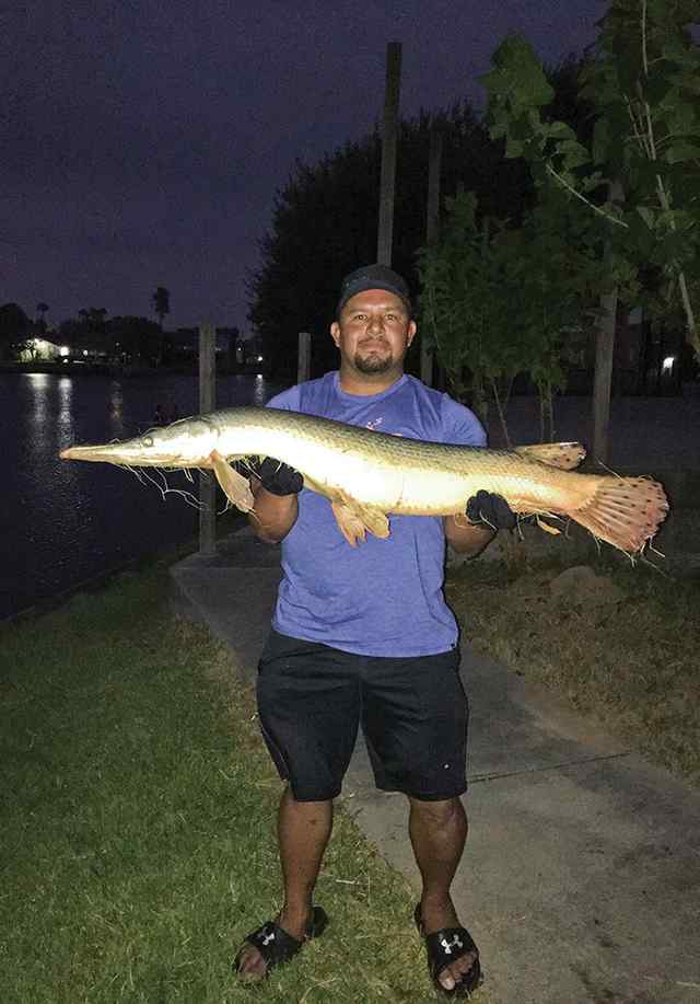 Pete Garza Jarbo Bayou - 5' gar