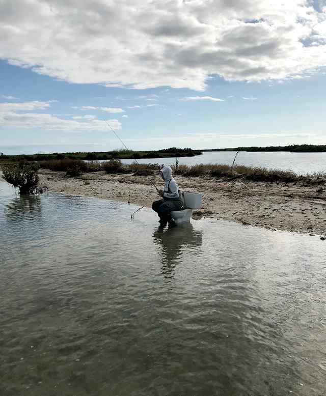 Wayne Gonzales Fish or get off the pot!