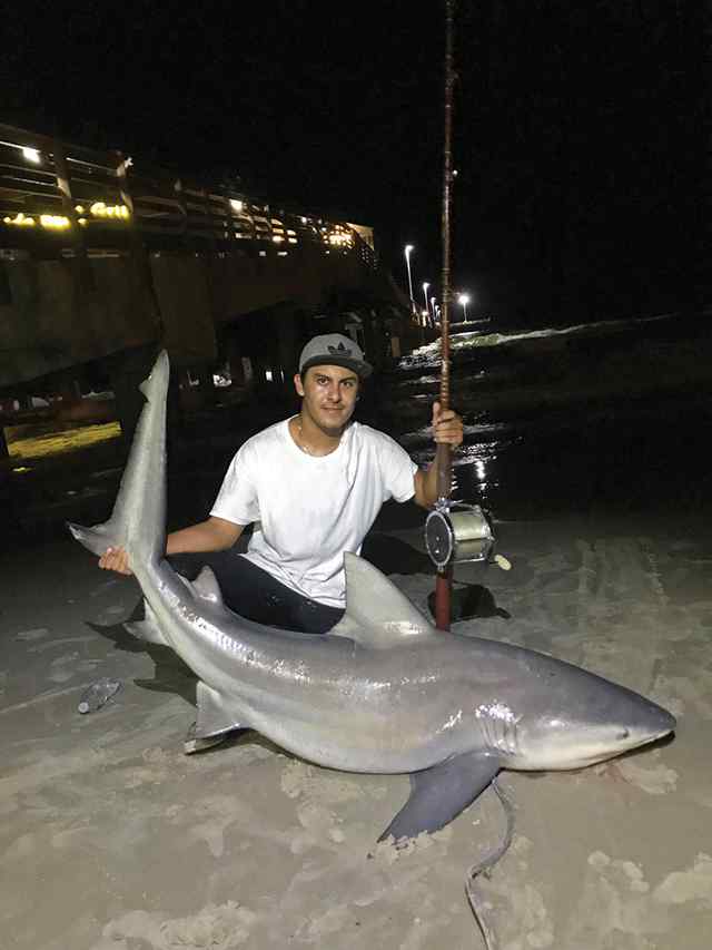 Ryan Riojas Bob Hall Pier - 6' bull shark