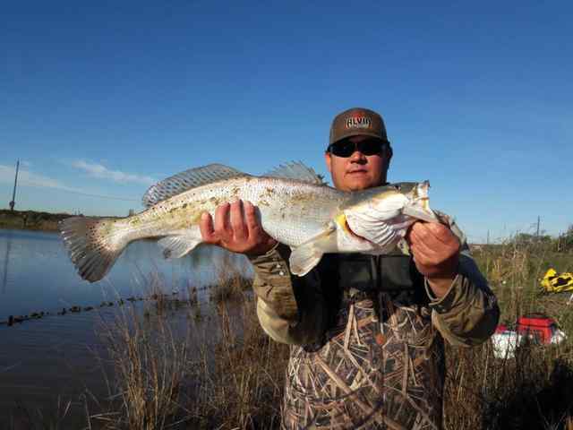 Larry Kettler, Jr. Quintana - trout CPR
