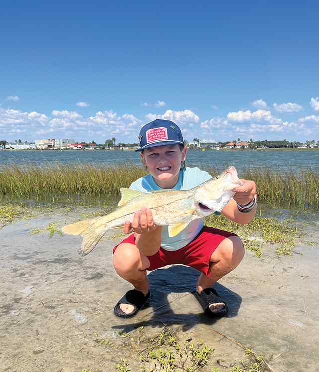 Hayes Ledger Little Bay - snook, caught on Mirrolure lil John