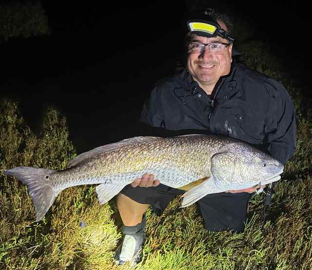 Gabriel Rocha Matagorda - 42" bull red CPR