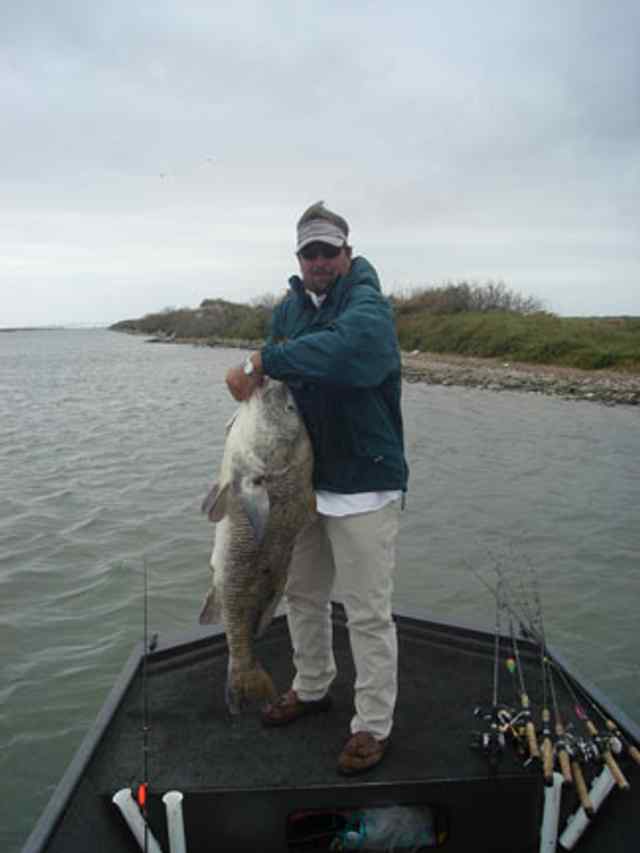 Alan Phillips Rockport38&quot; drum