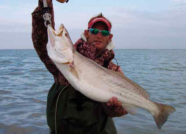 Brett Caron Landed this 32&quot; 12 lb trout on a Texas Trout Killer