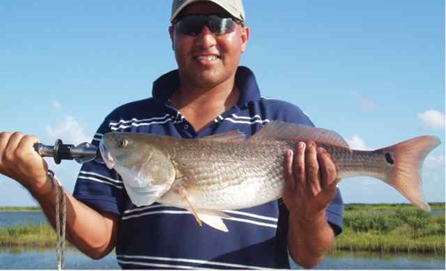 Daniel Cavazos 26 7/8&quot; redfish