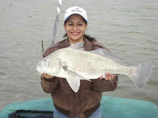 Ellie Molina South Padre Island - 28&quot;