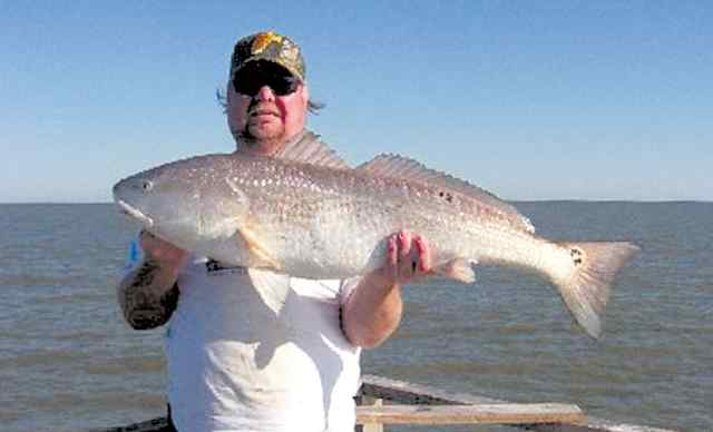 Harold Wessels High Island36&quot; redfish