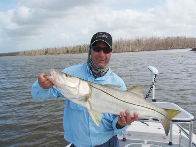 Jimmy Pape Everglades National Park
  35.25&quot; 14lb snook