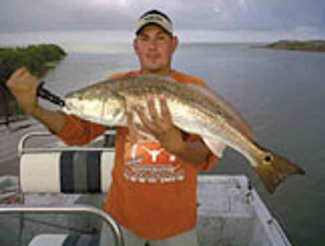 Noe Aleman Laguna Madre31&quot; redfish