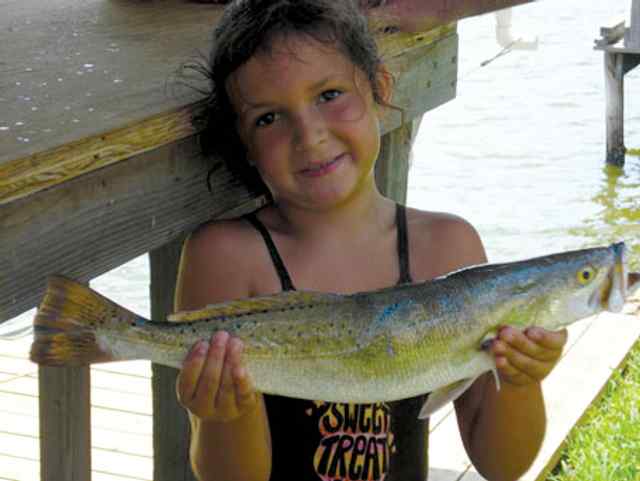 Paige Fleming West Bay-Greens Lake2.3lb first keeper trout!