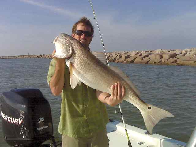 John Freytag Port O'Connor41&quot; bull red