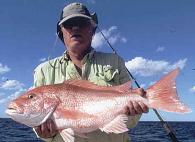Joe Lowicz 7 Mile Rock30&quot; red snapper