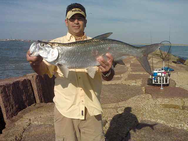 Arthur Toscano Port Aransastarpon