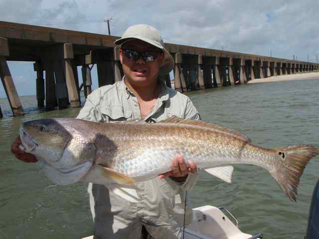 Robert Wang Galvestonbull CPR