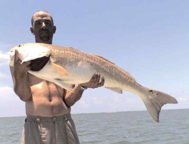Chad Brown 42 1/2" redfish CPR