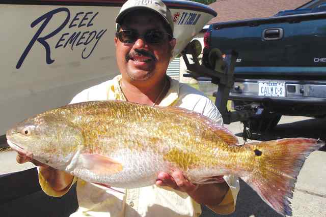 Charlie Gonzalez Texas City
11lb 3oz redfish