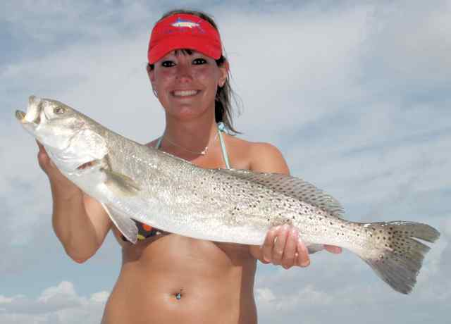 Carey Millington 28.25" trout