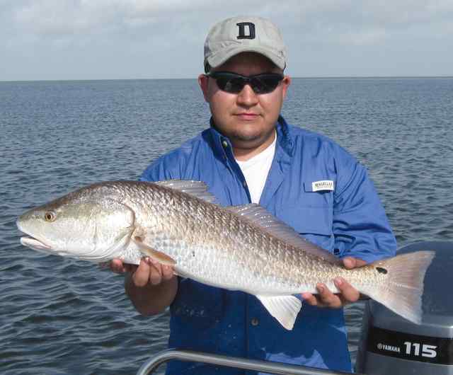 Mike Torres San Antonio Bay
31" redfish