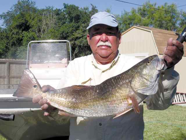 Sonny Sea Cavazos Corpus Christi28&quot; redfish