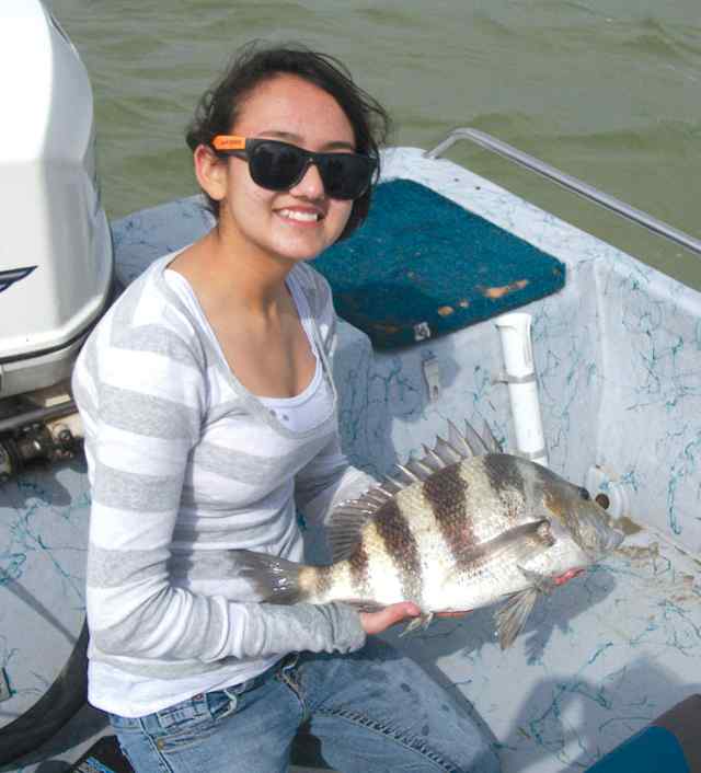Jade Arroyo City18&quot; sheepshead