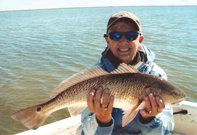 Ann Krueger Rockport24&quot; redfish