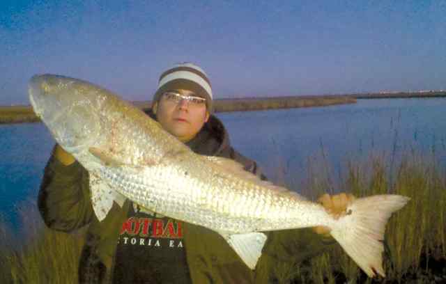 Daniel Ponce Coloma40&quot; bull red