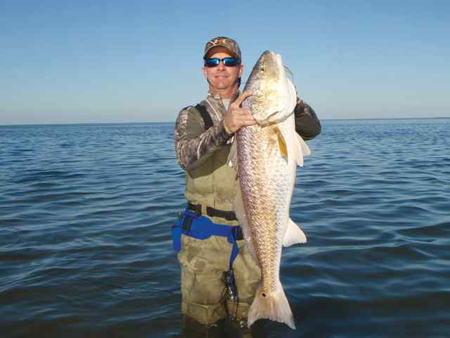 Todd Radke Matagorda Bay42&quot; redfish